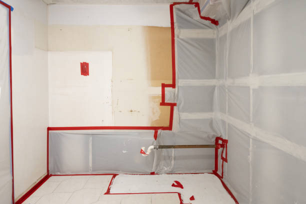 Best Forensic Mold Investigation  in Centerville, UT